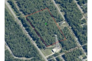 9991 FLORIDA AVENUE, CITRUS SPRINGS, FL 34434 Sold 12/19/25