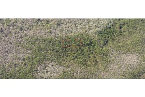 0190 COUNTY ROAD, DELAND, FL 32724 Sold 01/14/26