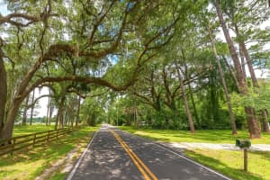 1911 52ND STREET, OCALA, FL 34480 - MLS#MFROM713117