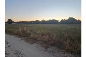 TBD 151 AVENUE, OCALA, FL 34481 - MLS#MFROM713124