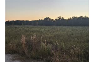 TBD 151 AVENUE, OCALA, FL 34481 - MLS#MFROM713124