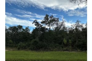 0 178TH STREETS, OCALA, FL 34473 - MLS#MFROM713130