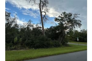 0 178TH STREETS, OCALA, FL 34473 - MLS#MFROM713130