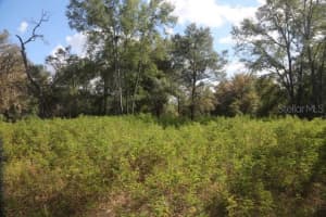 8776 139TH PLACE ROAD, OCALA, FL 34473 - MLS#MFROM713137