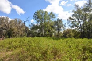 8776 139TH PLACE ROAD, OCALA, FL 34473 - MLS#MFROM713137