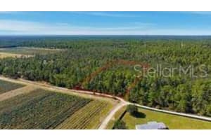 9478 TIMBER CREEK TERRACE, DUNNELLON, FL 34433 - MLS#MFROM713177