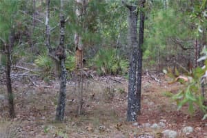 9478 TIMBER CREEK TERRACE, DUNNELLON, FL 34433 - MLS#MFROM713177