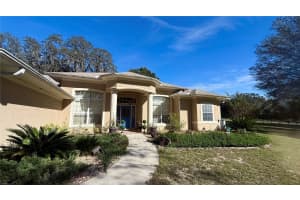 41030 OAK GROVE ROAD, WEIRSDALE, FL 32195 - MLS#MFROM713180