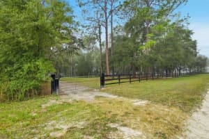 16180 36TH STREET, OCALA, FL 34481 - MLS#MFROM713188
