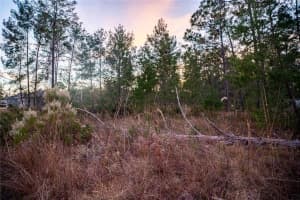 SW 39TH CT, OCALA, FL 34473 Sold 02/27/26