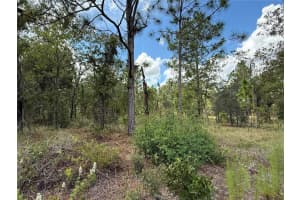 DEER PARK HEIGHTS SW, DUNNELLON, FL 34431 - MLS#MFROM713232