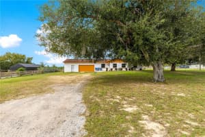 37429 GRAYS AIRPORT ROAD, LADY LAKE, FL 32159 - MLS#MFROM713243