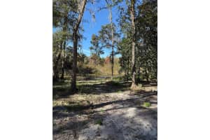 7TH PLACE, OCALA, FL 34482 - MLS#MFROM713299