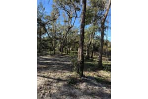 7TH PLACE, OCALA, FL 34482 - MLS#MFROM713299