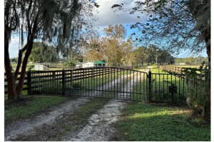 9001 W HIGHWAY 316, REDDICK, FL 32686 - MLS#MFROM713308