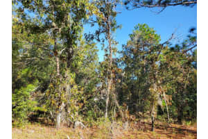 TBD 132ND PLACE, OCALA, FL 34473 Sold 02/05/26