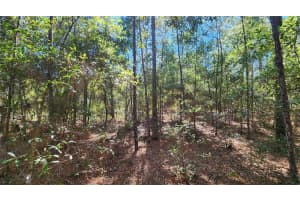 9955 SHERMAN DRIVE, CITRUS SPRINGS, FL 34434 Sold 01/13/26