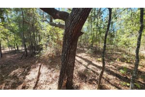 9955 SHERMAN DRIVE, CITRUS SPRINGS, FL 34434 Sold 01/13/26