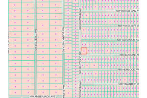 LOTS 65 & 66 BANYAN LANE, DUNNELLON, FL 34431 - MLS#MFROM713332