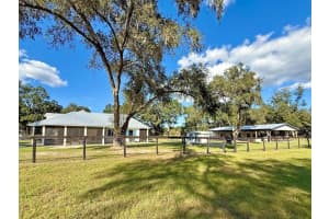 14655 117TH COURT, DUNNELLON, FL 34432 - MLS#MFROM713339