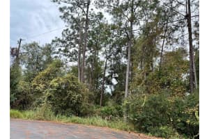 00 REDWOOD TRACK RUN, OCALA, FL 34472 Sold 12/05/25