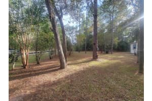 2980 176TH AVENUE, DUNNELLON, FL 34432 - MLS#MFROM713352