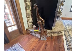 36203 MICRO RACETRACK ROAD, FRUITLAND PARK, FL 34731 - MLS#MFROM713402