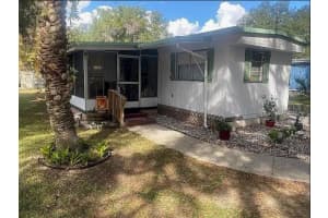 25225 NE 139TH ST, SALT SPRINGS, FL 32134 - MLS#MFROM713403