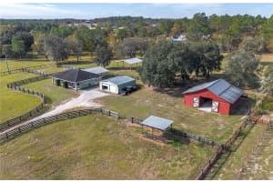 6550 143RD COURT, MORRISTON, FL 32668 - MLS#MFROM713409