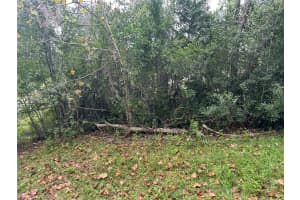 2713 ADAMS STREET, INVERNESS, FL 34453 - MLS#MFROM713426