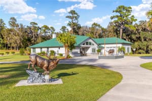 255 96TH LANE, OCALA, FL 34476 - MLS#MFROM713464