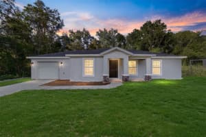 3427 138TH PLACE, SUMMERFIELD, FL 34491 - MLS#MFROM713477