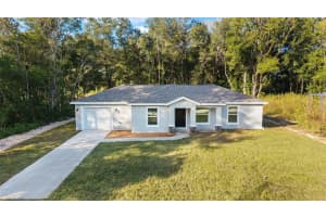 3427 138TH PLACE, SUMMERFIELD, FL 34491 - MLS#MFROM713477