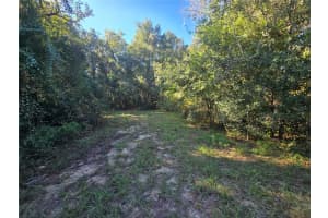 4322 CARL G ROSE HIGHWAY, HERNANDO, FL 34442 - MLS#MFROM713486