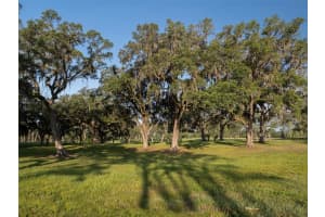 TBD 115TH AVENUE, OCALA, FL 34482 - MLS#MFROM713488