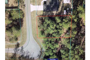 0 131 LOOP, OCALA, FL 34473 - MLS#MFROM713506