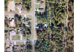 0 131 LOOP, OCALA, FL 34473 - MLS#MFROM713506