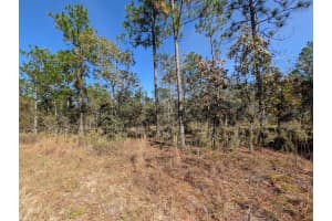 SE 135TH CT, DUNNELLON, FL 34431 - MLS#MFROM713539