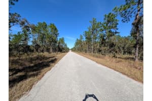 SE 135TH CT, DUNNELLON, FL 34431 - MLS#MFROM713539