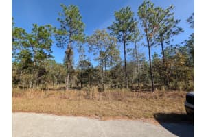 SE 135TH CT, DUNNELLON, FL 34431 - MLS#MFROM713539