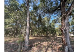 13465 100TH STREET, DUNNELLON, FL 34432 - MLS#MFROM713566