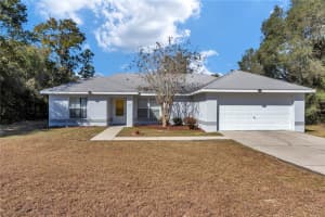 25 MAPLE COURSE, OCKLAWAHA, FL 32179 - MLS#MFROM713610