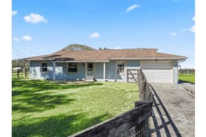 250 195TH AVENUE, WILLISTON, FL 32696 - MLS#MFROM713620