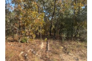 00 136TH TERRACE, DUNNELLON, FL 34432 Sold 01/28/26