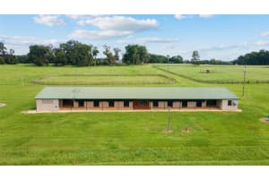 17176 N US HIGHWAY 441, REDDICK, FL 32686 - MLS#MFROM713643