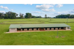 17176 N US HIGHWAY 441, REDDICK, FL 32686 - MLS#MFROM713643