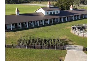 1345 NE 155 PLACE, CITRA, FL 32113 - MLS#MFROM713645