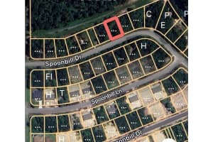 274 SPOONBILL DRIVE, POINCIANA, FL 34759 - MLS#MFROM713646