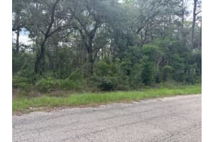 0000 124TH COURT, DUNNELLON, FL 34431 - MLS#MFROM713655