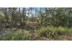 00 SW EDGEWATER BLVD, DUNNELLON, FL 34431 - MLS#MFROM713656